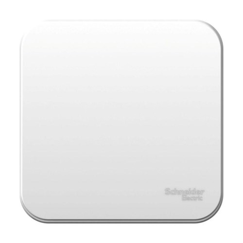 Выключатель 1-кл. ОП Blanca 10А IP20 (сх. 1) 250В бел. SE BLNVA101001 1210422 - фото 16614695