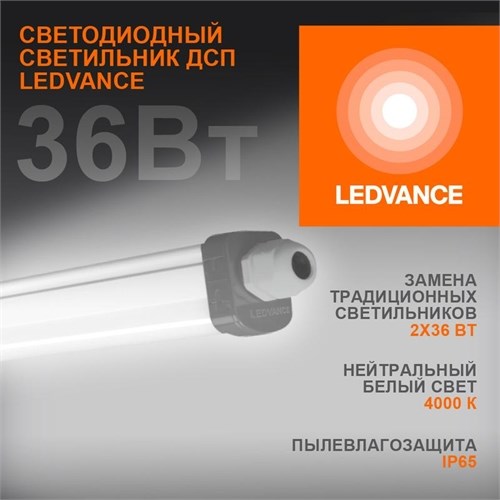 Светильник светодиодный Eco Class Damp Proof Slim 36Вт 4000К IP65 3700лм 1.2м ДСП промышленный накладной/подвесной сер. (аналог ЛСП) LEDVANCE 4058075169128 510554 - фото 16619437