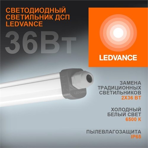 Светильник светодиодный Eco Class Damp Proof Slim 36Вт 6500К IP65 3700лм 1.2м ДСП промышленный накладной/подвесной сер. (аналог ЛСП) LEDVANCE 4058075169104 510555 - фото 16619438