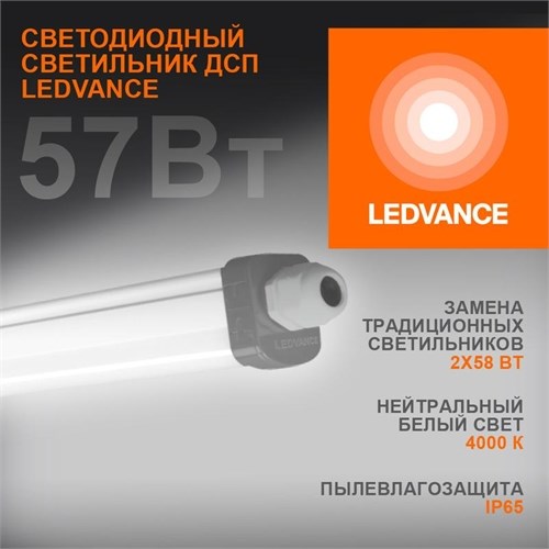 Светильник светодиодный Eco Class Damp Proof Slim 57Вт 4000К IP65 6000лм 1.5м ДСП промышленный накладной/подвесной сер. (аналог ЛСП) LEDVANCE 4058075169142 510557 - фото 16619439