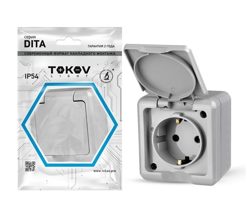 Розетка 1-м ОП Dita 16А IP54 250В с заземл. с крышкой сер. TOKOV ELECTRIC TKL-DT-R1Z-C06-IP54 1710656 - фото 16625466