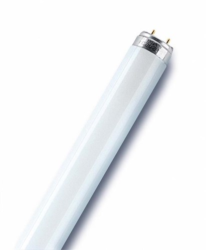 Лампа люминесцентная L 36W/76 NATURA DE LUXE 36Вт T8 3500К G13 OSRAM 4050300010526 101738 - фото 16631025