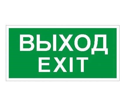 Пиктограмма "Выход/Exit" ПЭУ 011 242х50 PC-M (уп.2шт) СТ 2502000790 283240 - фото 16631738