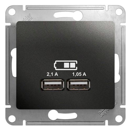 Розетка USB 2-м СП Glossa тип A+A 5В/2100мА 2х5В/1050мА механизм антрацит SE GSL000733 504575 - фото 16650695