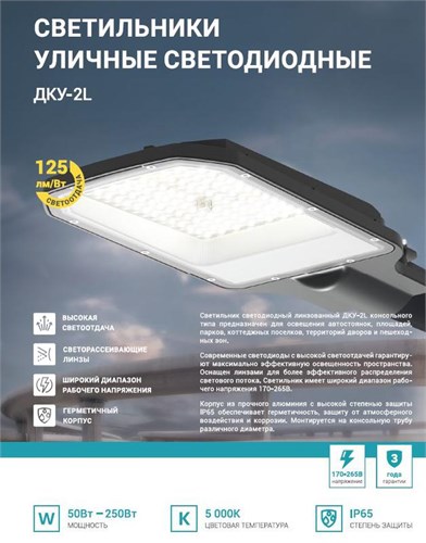 Светильник уличный линзованный светодиодный ДКУ-2L 50Вт 230В 5000К 6250лм 125лм/Вт 42-48мм IP65 NEOX 4690612057071 1905715 - фото 16664850