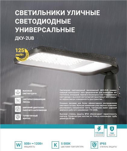 Светильник уличный линзованный светодиодный ДКУ-2UB 50Вт 230В 5000К 6250лм 125лм/Вт универсальный IP65 NEOX 4690612057415 1905721 - фото 16665252