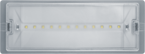 Светильник светодиодный 95 290 NEF-19 6Вт IP65 100лм 220-240В аккум. LiFePO4 600mAh аварийно-эвакуационный Navigator 95290 1933038 - фото 16666163