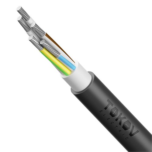 Кабель TOKOV ELECTRIC АВВГнг(А)-LS 5х50 МК (N PE) 0.66кВ (м) 00-00072436 1956058 - фото 16690829