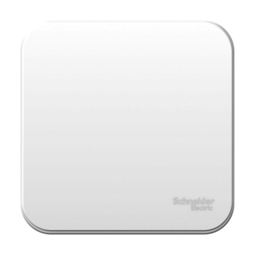 Выключатель 1-кл. ОП Blanca 10А IP20 (сх. 1) 250В с металлич. пластиной бел. SE BLNVA101021 1210439 - фото 16705036