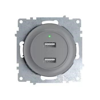 Розетка USB 2-м СП Florence 16А IP20 с подсветкой механизм сер. (1E10351302) OneKeyElectro 2260091 1656749 - фото 16736673