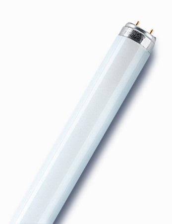 Лампа люминесцентная L 18W/865 LUMILUX 18Вт T8 6500К G13 смол. OSRAM 4058075693098 1624657 - фото 16736731