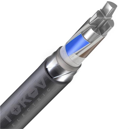Кабель TOKOV ELECTRIC АВБШвнг(А) 4х70 ОС (N) 1кВ (м) УТ000030810 1936652 - фото 16739630