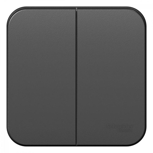 Выключатель 2-кл. ОП Blanca 10А IP20 (сх. 5) 250В с изолир. пластиной антрацит SE BLNVA105016 1210624 - фото 16741904