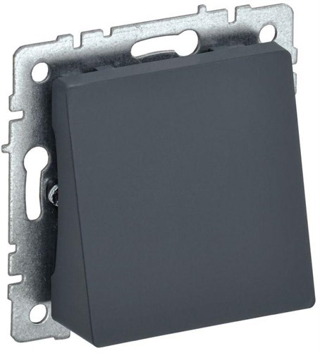 Вывод кабеля BRITE МВ10-БрГ механизм графит IEK BR-VK10-0-K53 1663216 - фото 16744517