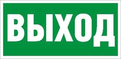 Пиктограмма "Выход" ПЭУ 010 260х130 PC-M MIZAR STANDARD (уп.2шт) СТ 2502002850 545552 - фото 16745381