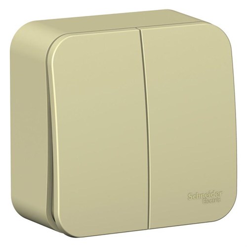 Выключатель 2-кл. ОП Blanca 10А IP20 (сх. 5) 250В с изолир. пластиной беж. SE BLNVA105017 520095 - фото 16745641