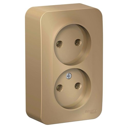 Розетка 2-м ОП Blanca 16А IP20 250В без заземл. без защ. шторок с изолир. пластиной титан SE BLNRA000214 1210594 - фото 16745949