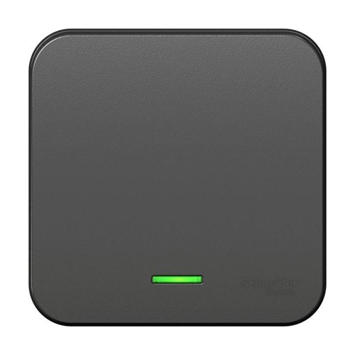 Выключатель 1-кл. ОП Blanca 10А IP20 (сх. 1) 250В с подсветкой с изолир. пластиной антрацит SE BLNVA101116 1210623 - фото 16749985