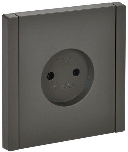 Розетка 1-м СП FORTE&PIANO FP318 10А без заземл. без защ. шторок винт. крепл. сер. IEK FP-R10-10-K03 1853253 - фото 16752015