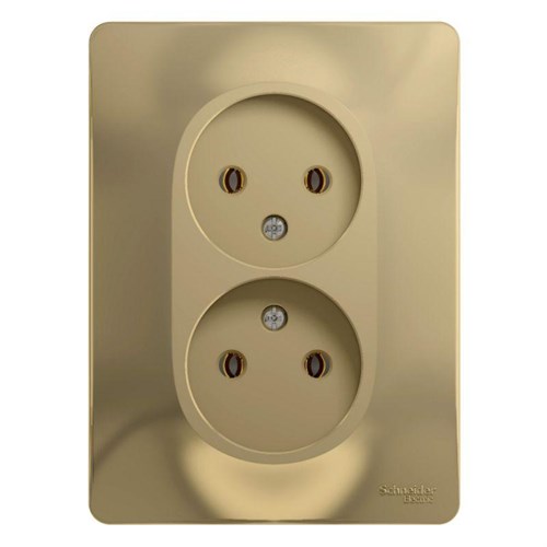 Розетка 2-м СП Glossa 16А IP20 без заземл. в сборе титан SE GSL000420 1063782 - фото 16754597