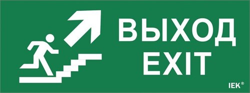 Этикетка самоклеящаяся "Выход/лестница вверх/фигура" ДПА IP20/54 IEK LPC10-1-24-09-VLVVF 1304305 - фото 16757555