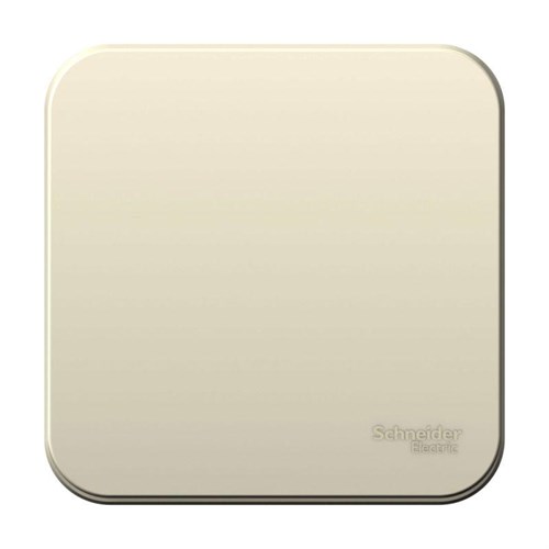 Выключатель 1-кл. ОП Blanca 10А IP20 (сх. 1) 250В с изолир. пластиной молочн. SE BLNVA101012 1210499 - фото 16757974