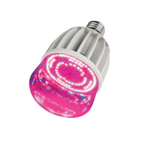 Лампа светодиодная ESL-LED-M80-20W SP E27/CL IP54 Uniel 11098 398505 - фото 16758350