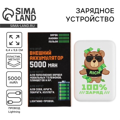 Зарядное устройство «100% заряд», 5000мА 10132615 - фото 16796312