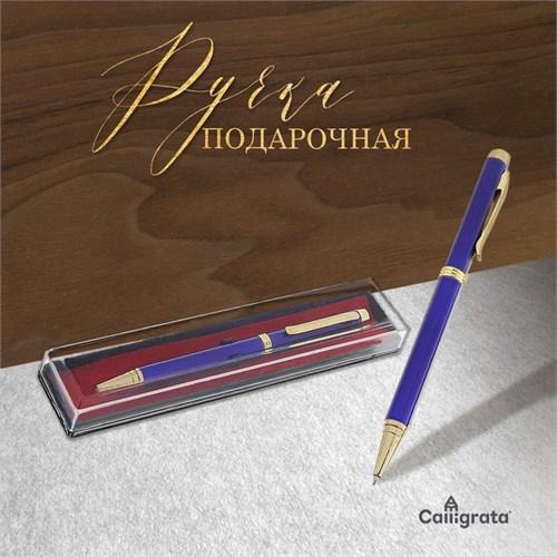 Ручка подарочная, шариковая, в пластиковом футляре, поворотная, "Эксперт", синяя с золотистыми вставками 592347 - фото 16851027