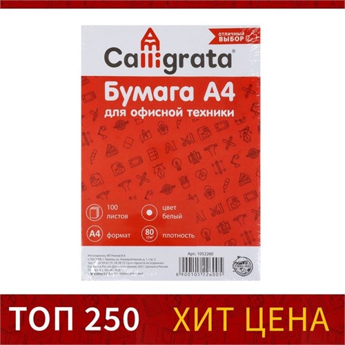 Бумага А4, 100 листов Calligrata, 80г/м2, белизна 146% CIE, класс С, в т/у плёнке (цена за 100 листов) 1052260 - фото 16854162