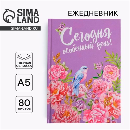 Ежедневник "Сегодня особенный день", твёрдая обложка, А5, 80 листов 1814793 - фото 16859051
