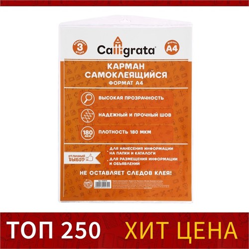 Карман самоклеящийся А4, 223 х 303 мм, комплект 3 штуки, Calligrata, 180 мкм, на лицевую сторону папок и любые гладкие поверхности 1929470 - фото 16859344