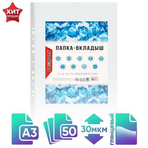 Файл-вкладыш А3, 30 мкм, Calligrata, глянцевый, вертикальный, 50 штук 3258536 - фото 16865985