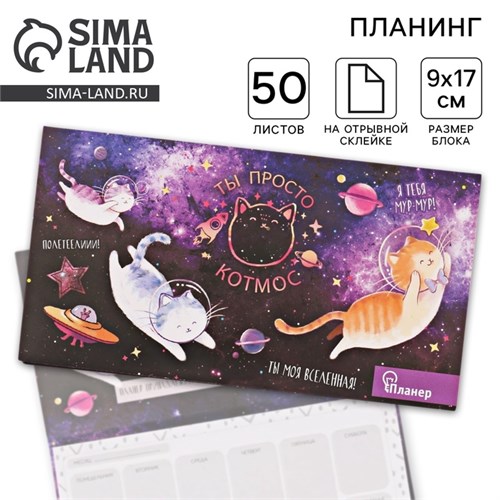 Планер с отрывными листами "Ты просто КОТмос" 3392290 - фото 16866981