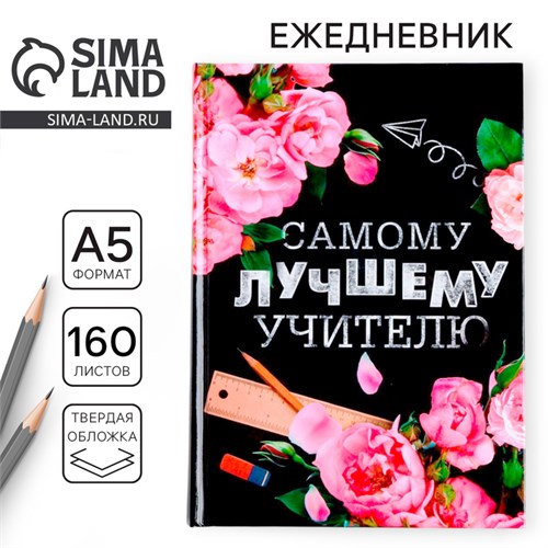 Ежедневник учителя «Самому лучшему учителю», формат А5, твёрдая обложка картон 7БЦ, 160 листов 4631285 - фото 16874823