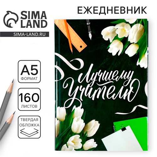 Ежедневник учителя «Лучшему Учителю», формат А5, твёрдая обложка картон 7БЦ, 160 листов 4754466 - фото 16877280
