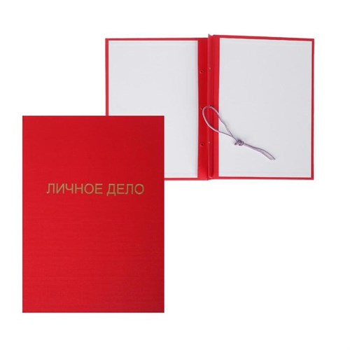Папка "Личное дело", бумвинил, гребешки/сутаж, без бумаги, красная (вместимость до 300 листов) 5441785 - фото 16880641