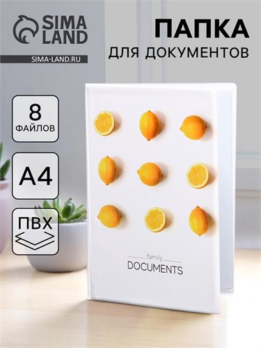 Папка для семейных документов «Docs», 8 файлов А4 5365342 - фото 16883977