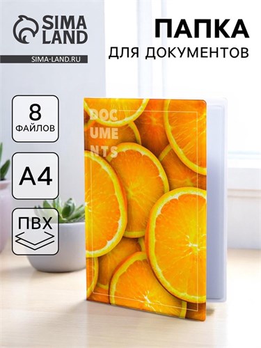 Папка для документов «Docs», 8 файлов А4 5365287 - фото 16884228