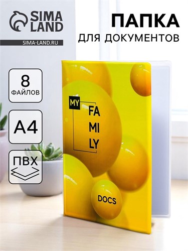 Папка для семейных документов «Docs», 8 файлов А4 5365337 - фото 16884324