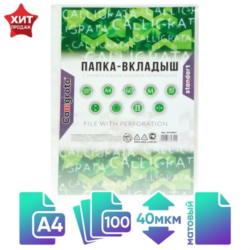 Файл-вкладыш А4, 40 мкм, Calligrata, матовый, вертикальный, 100 штук 6534841 - фото 16884931