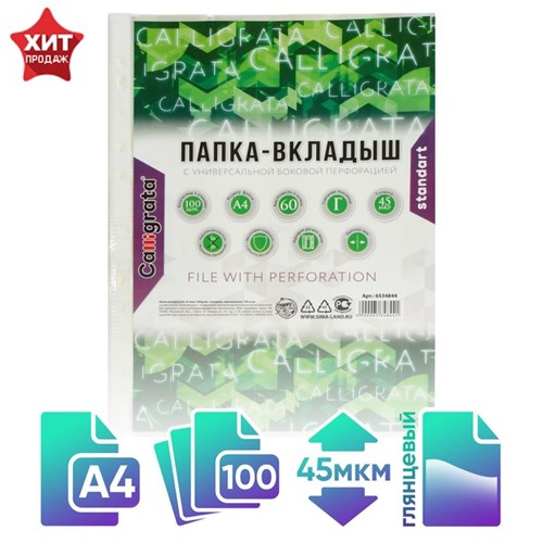 Файл-вкладыш А4, 45 мкм, Calligrata, глянцевый, вертикальный, 100 штук 6534844 - фото 16886574
