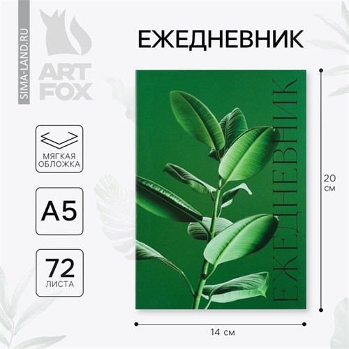 Ежедневник в тонкой обложке А5, 72 листа «Зеленый фикус» 7337687 - фото 16888337