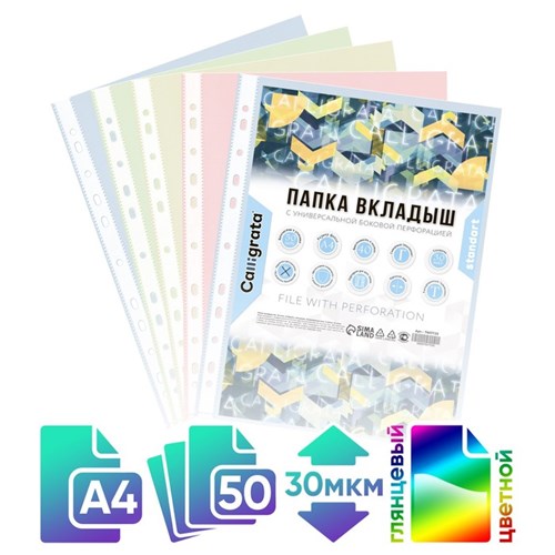 Файл-вкладыш А4, 30 мкм, Calligrata, тонированный, глянцевый, вертикальный, 50 штук, микс (в пачке 1 цвет) 7647725 - фото 16890516