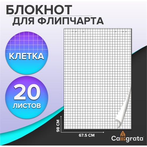 Блокнот для флипчарта в клетку Calligrata, 67.5 х 98 см, 20 листов, 80 г/м2, белизна 92% 7790039 - фото 16891387