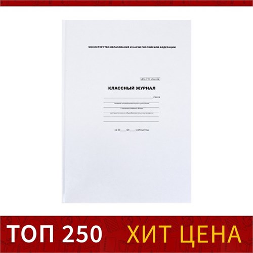 Классный журнал для 5-11 классов А4, 96 листов, твёрдая обложка, белый блок 7937243 - фото 16895068