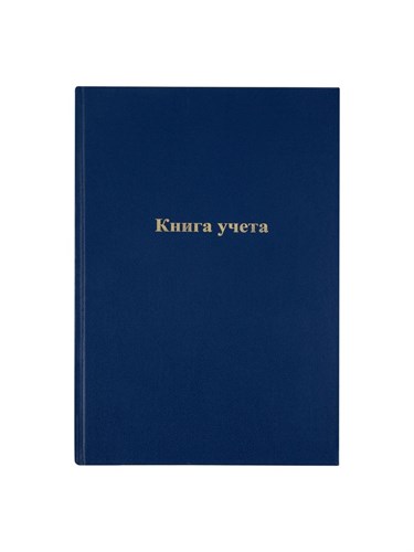 Книга учета, 96 листов, обложка бумвинил, блок ГАЗЕТНЫЙ, клетка, цвет синий 7822581 - фото 16895192