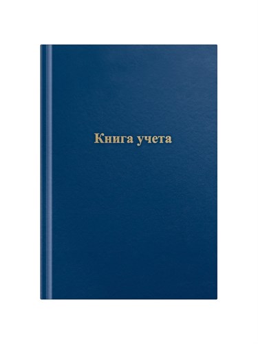 Книга учета, 96 листов, обложка бумвинил, блок ОФСЕТ, клетка, цвет синий 7822582 - фото 16895195