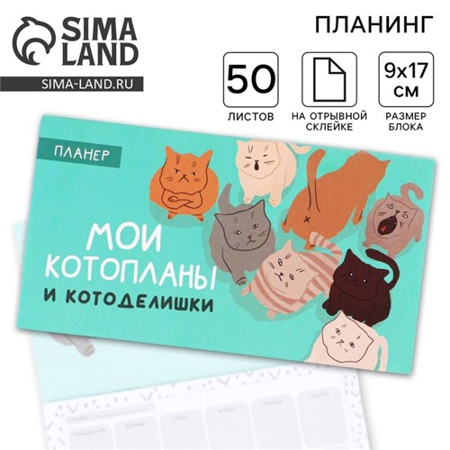 Планер с отрывными листами «Котопланы», 50 листов 9061755 - фото 16895667