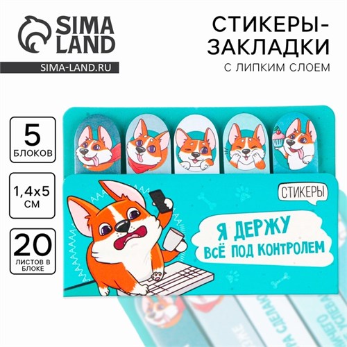 Набор стикеров-закладок "Я держу всё под контролем", 5 шт, 20 л 9206239 - фото 16898365